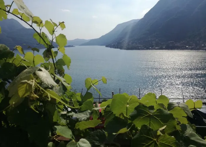 Panorama Daire *